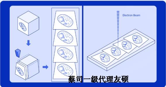 大同蔡司大同扫描电镜