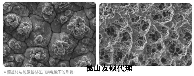 大同蔡司大同扫描电镜