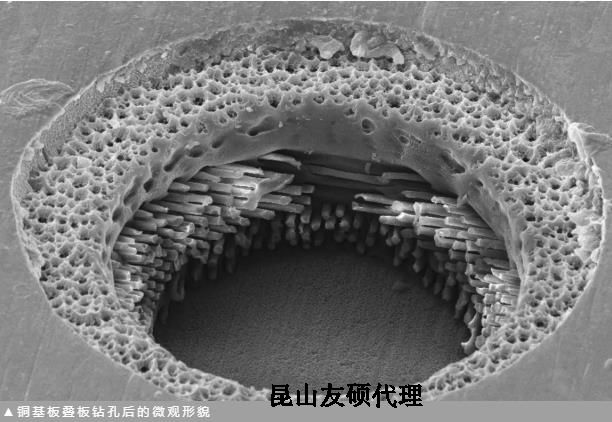 大同蔡司大同扫描电镜